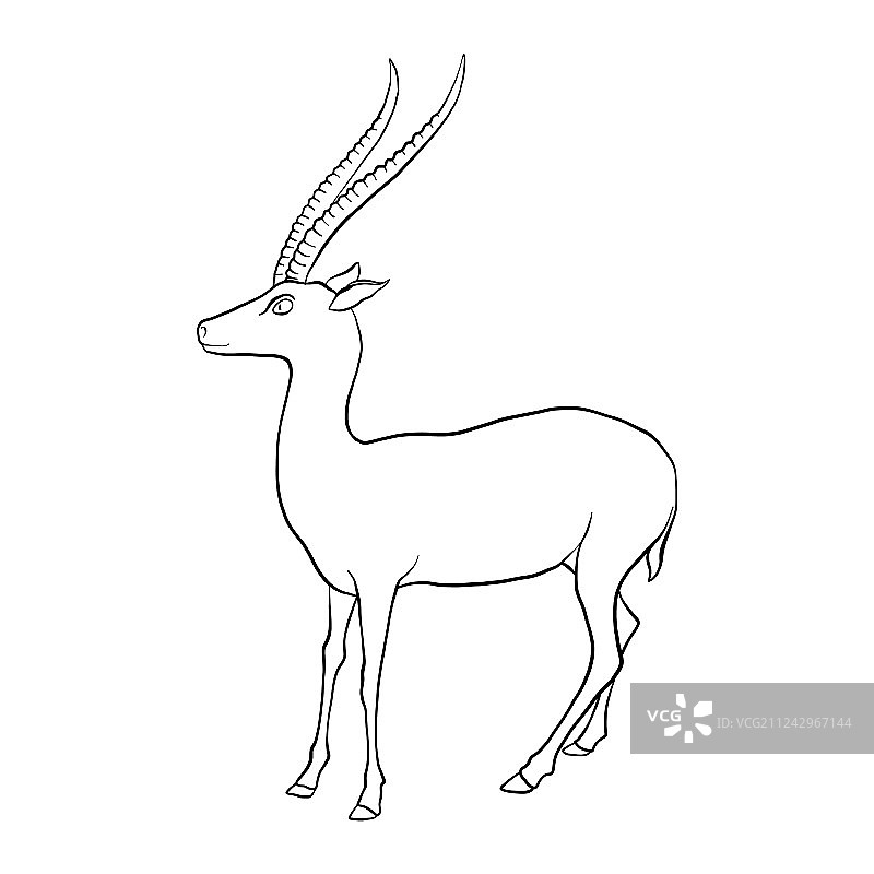 羚羊绘画图片素材