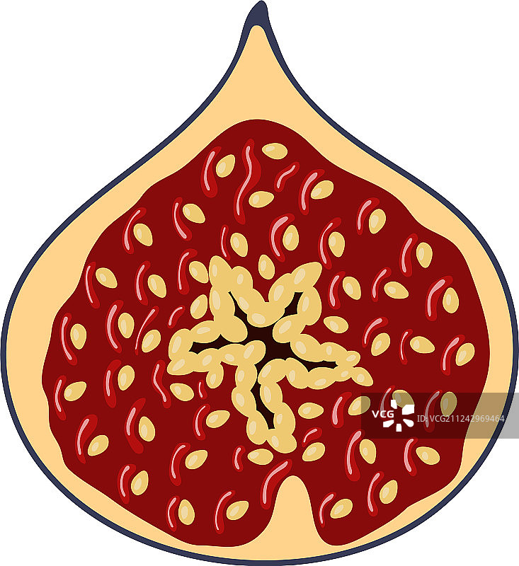 UI颜色中的无花果扁平设计图标图片素材
