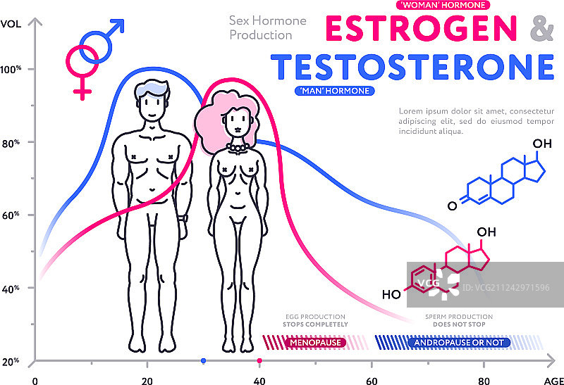 男性和女性荷尔蒙图表对比图片素材