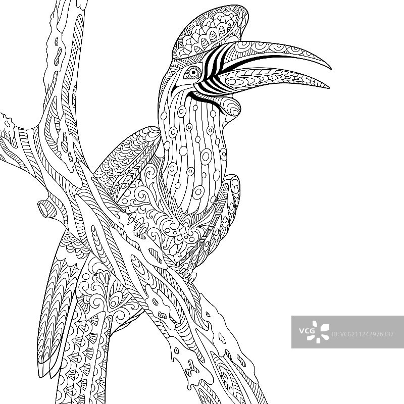 犀鸟鸟类成人涂色页图片素材