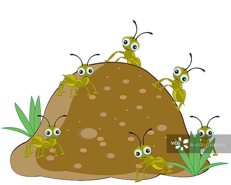 蚂蚁窝与蚂蚁图片素材
