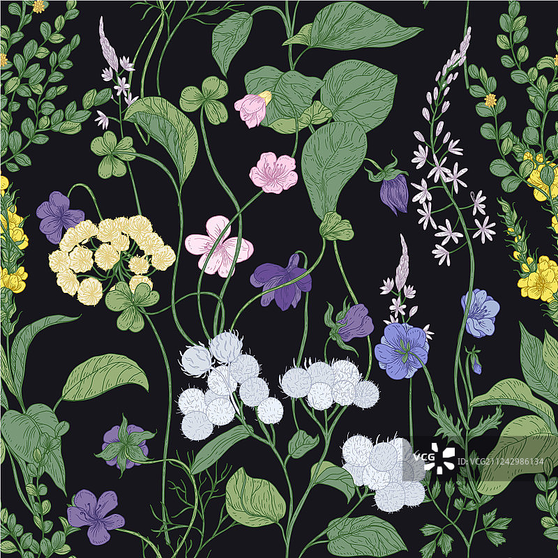 盛开野花的植物无缝图案图片素材