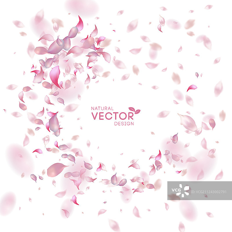 花瓣飞舞背景图片素材