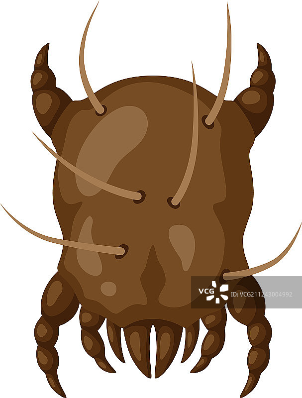 尘螨昆虫图标图片素材