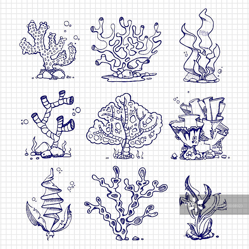 圆珠笔绘画：海藻、珊瑚和水下生物图片素材