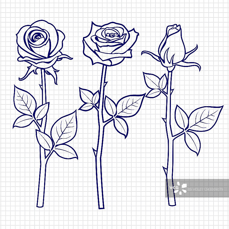 手绘玫瑰花草图图片素材