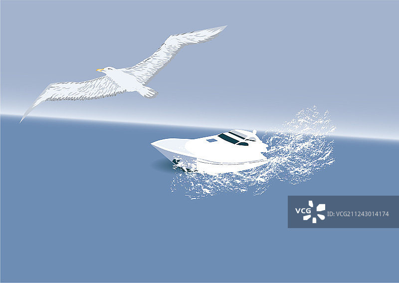 船和信天翁图片素材