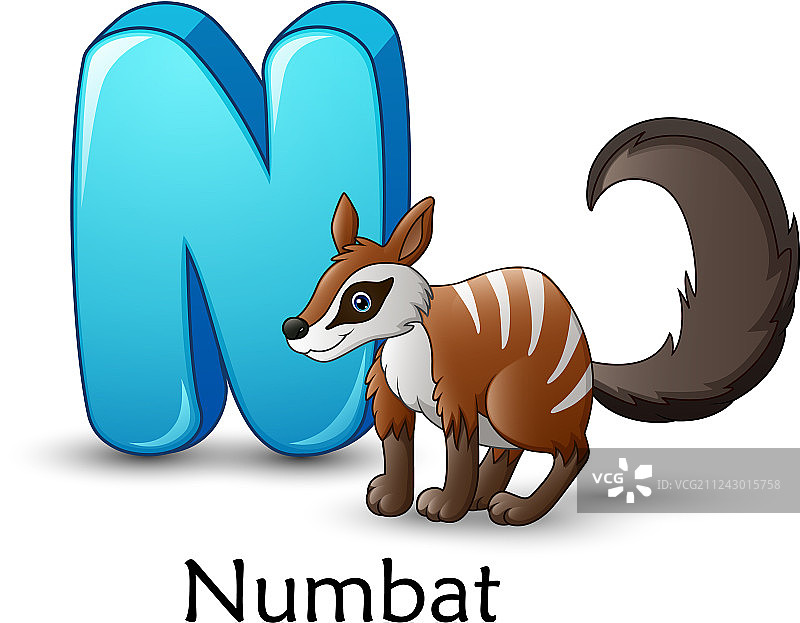 字母N代表袋食蚁兽卡通字母图片素材