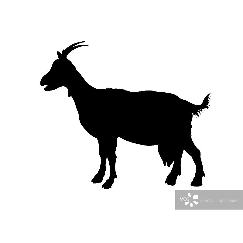 黑色轮廓山羊图像图片素材