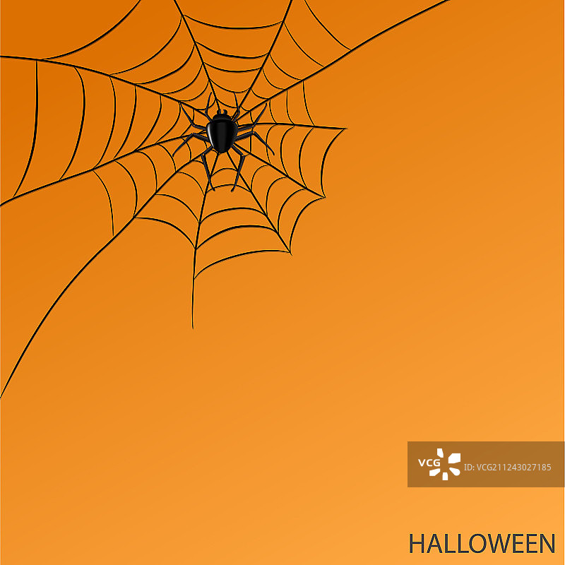万圣节橙色背景上的蜘蛛网图片素材