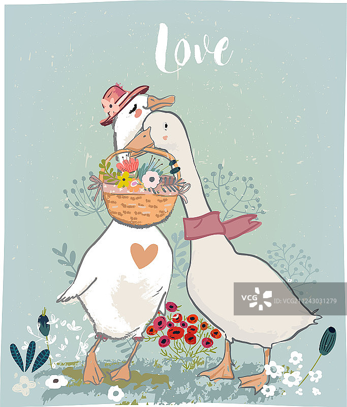 一对农场鸟类图片素材