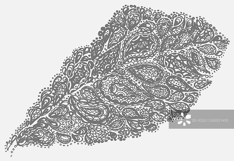 佩斯利风格的变叶木叶子图片素材