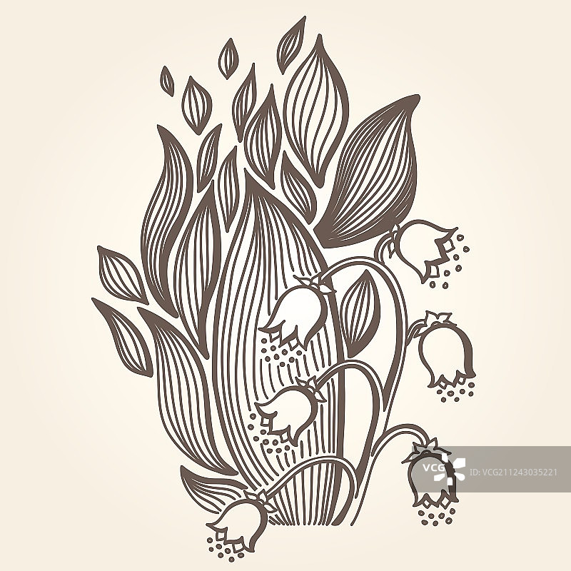 铃兰花图片素材