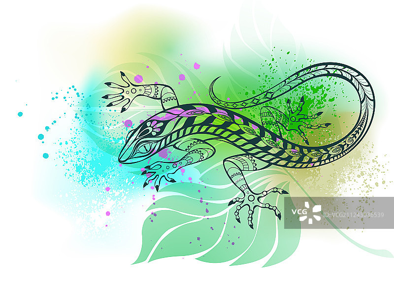 树叶上的蜥蜴轮廓图图片素材