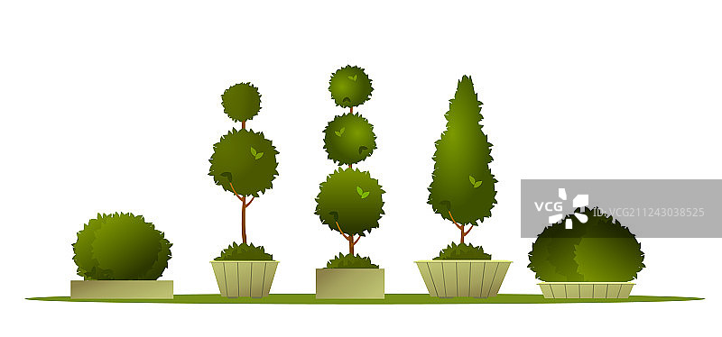 花园植物造型套装图片素材