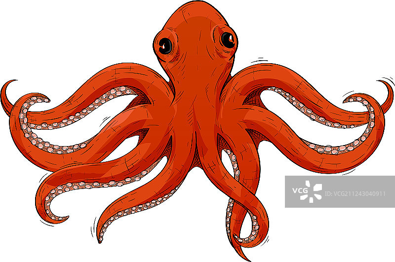 红色章鱼手绘草图图片素材
