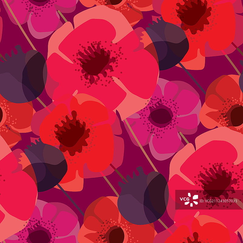 罂粟花和种子盒无缝图案图片素材