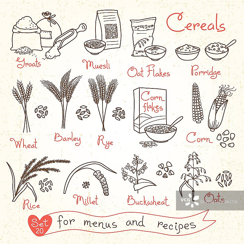 谷物设计菜单食谱图稿套装图片素材