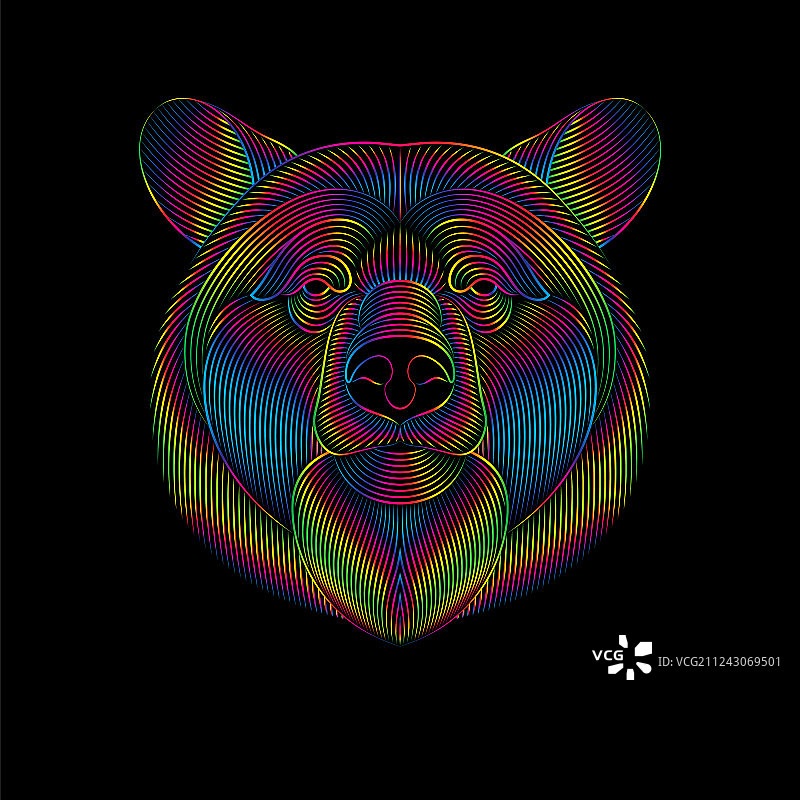 黑色背景上的光谱熊雕刻风格图片素材