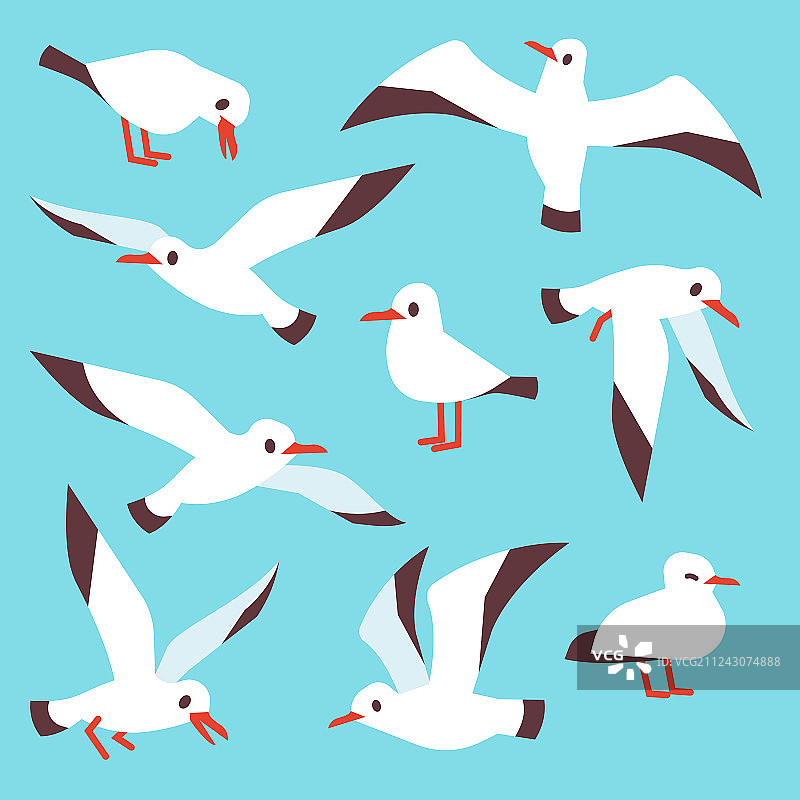 卡通大西洋海鸟海鸥在蓝色中飞翔图片素材
