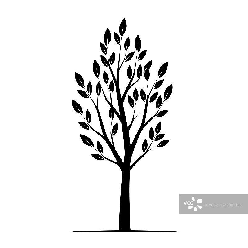 黑色冬季裸树图片素材