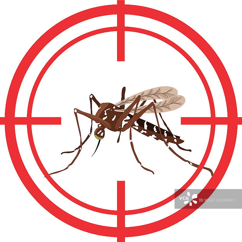 目标伊蚊叮咬图片素材