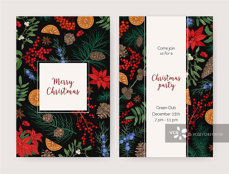 圣诞节宣传单或派对邀请卡合集图片素材