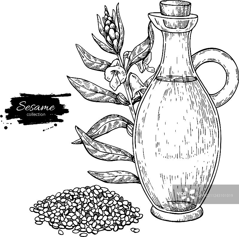 手绘植物芝麻油瓶图片素材