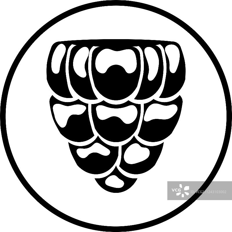 覆盆子图标图片素材