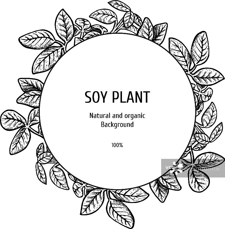 手绘大豆植物背景图片素材