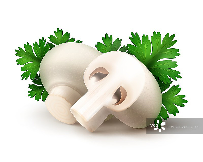 带欧芹的完整和半个白色蘑菇图片素材