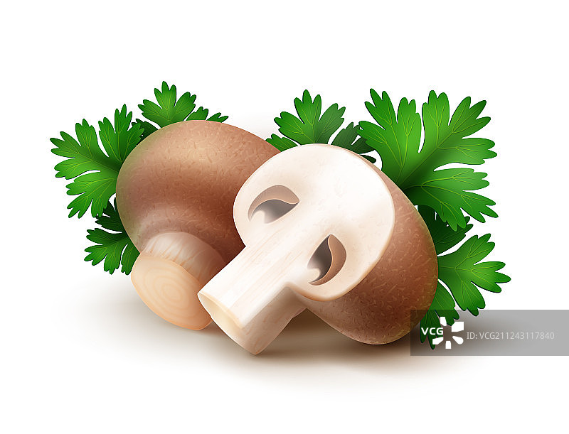 棕色大褐菇图片素材