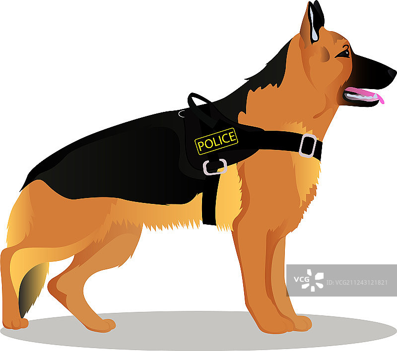 德国牧羊犬警犬图片素材