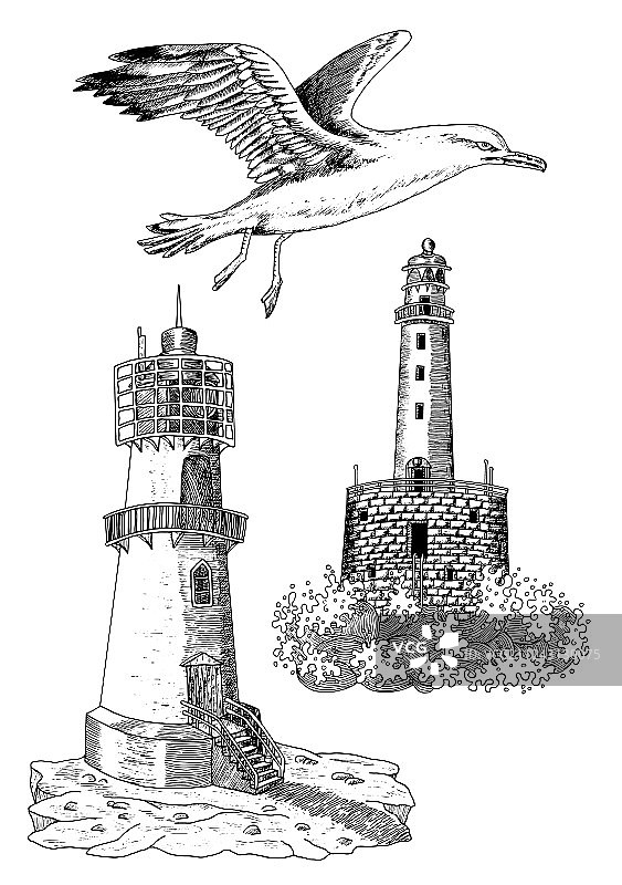 旧灯塔和海鸥设计合集图片素材