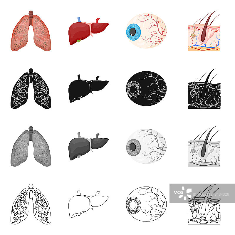 身体和人体标志图片素材