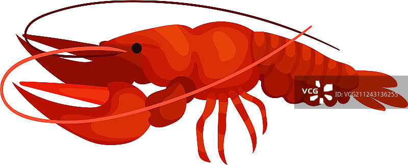 美味的红色大龙虾图片素材