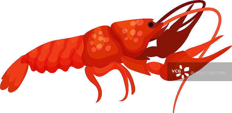 清蒸龙虾图片素材