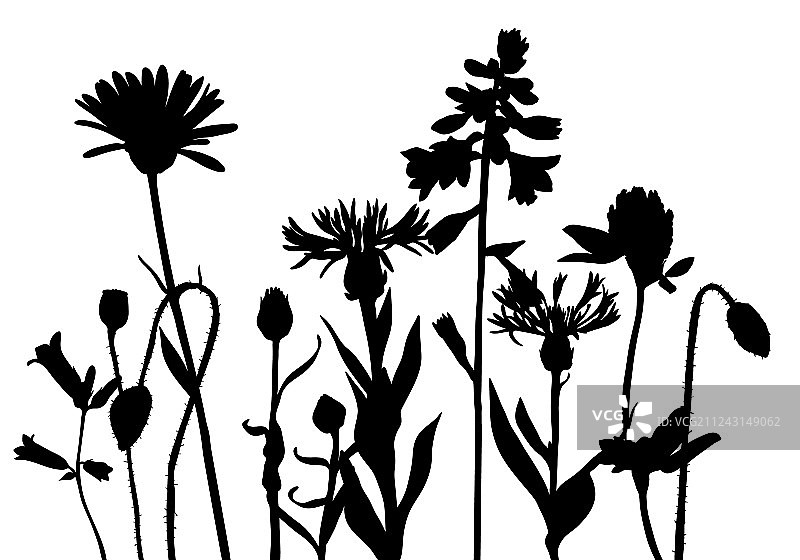 野花剪影图片素材