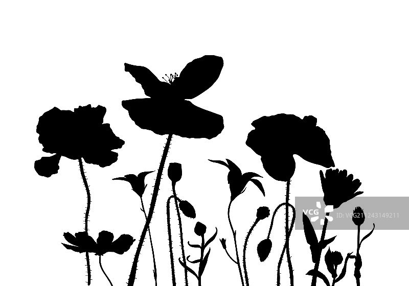 野花剪影图片素材