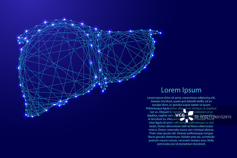 人的肝脏器官外分泌腺图片素材