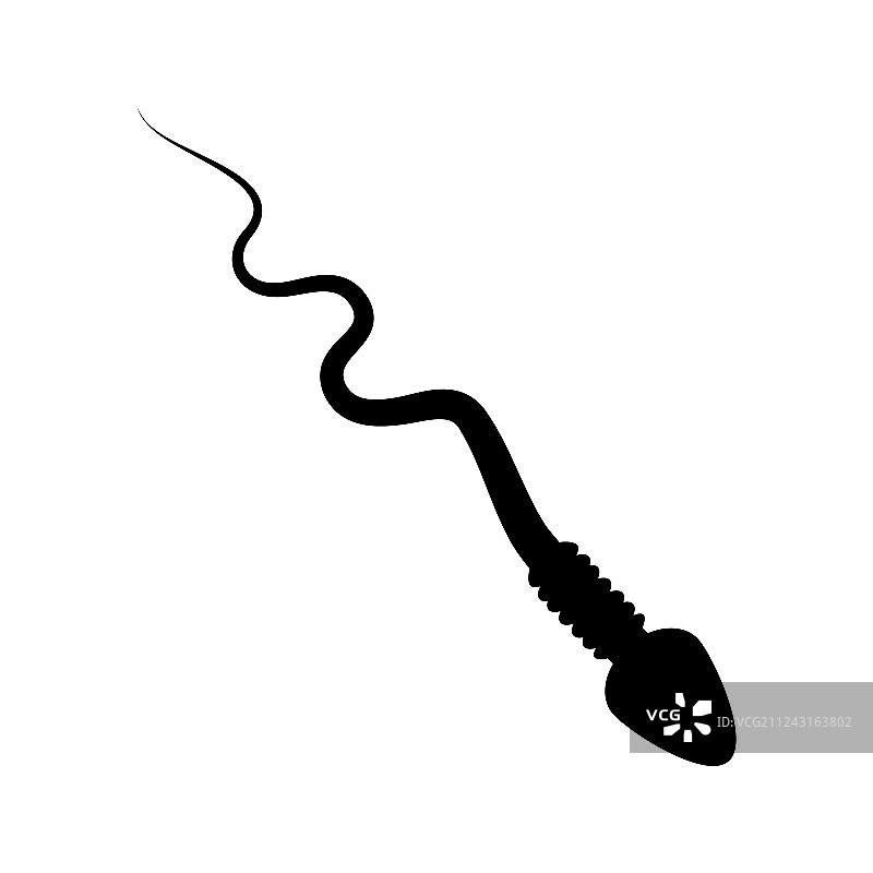 卡通精子轮廓设计图片素材