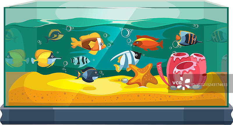 卡通淡水鱼缸图片素材