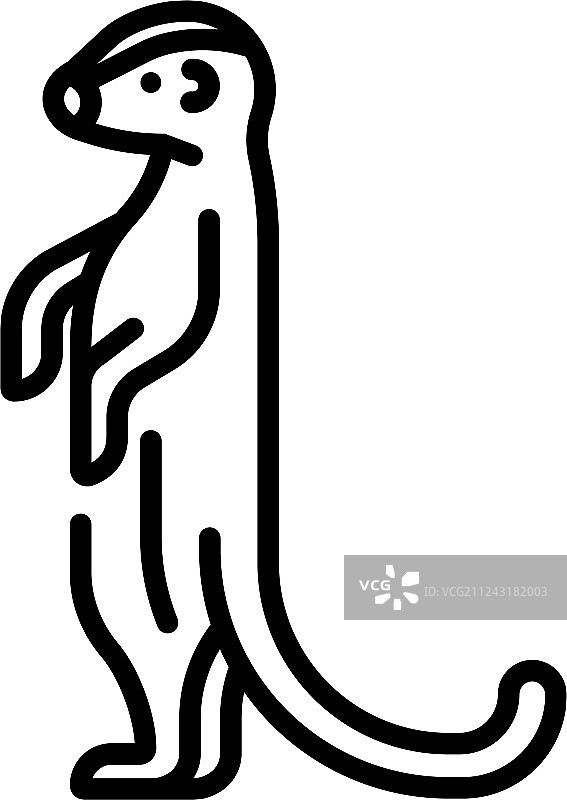 狐獴线性图标图片素材