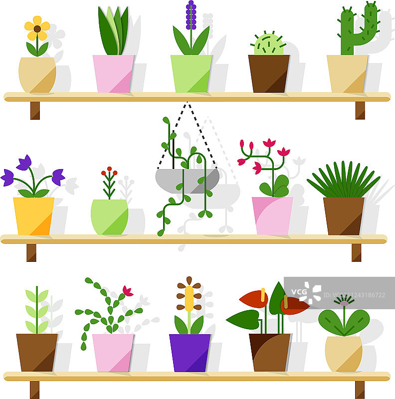 隔离在白色背景上的室内盆栽植物图片素材