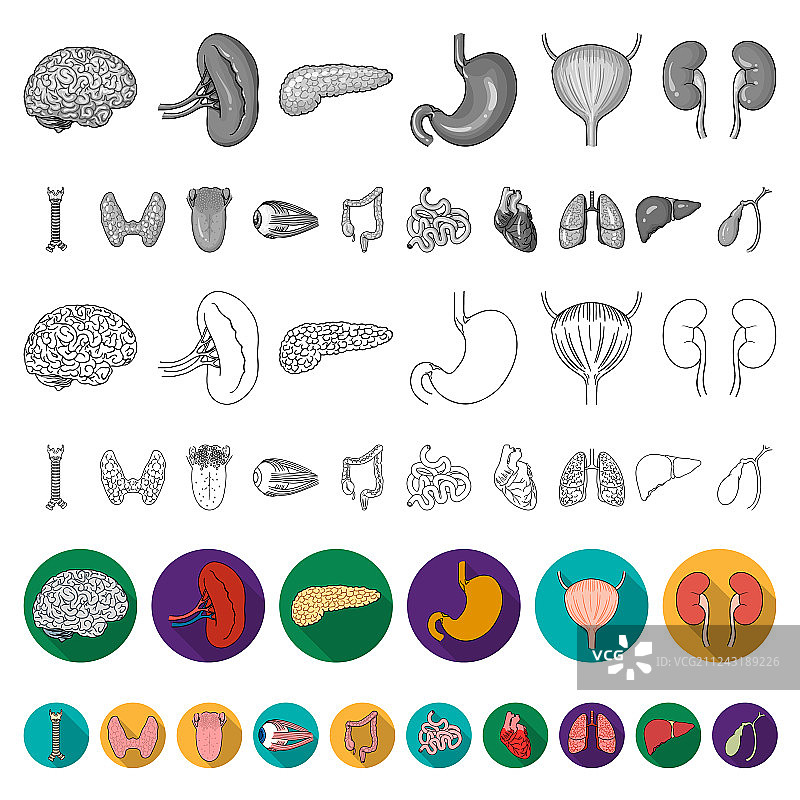 人体器官扁平图标合集图片素材