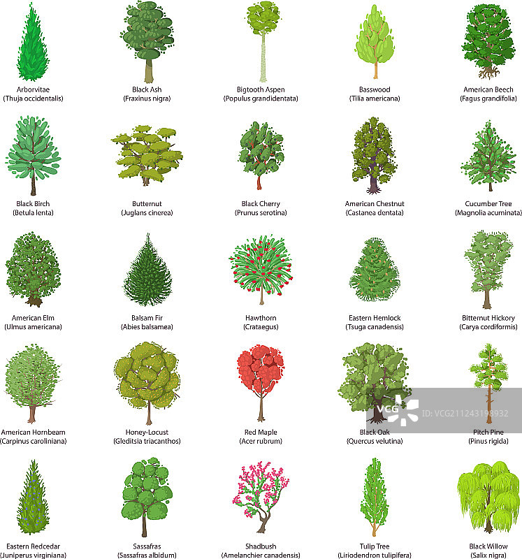 2.5D树木类型图标集图片素材