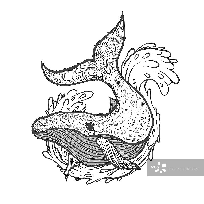手绘鲸鱼与海浪图片素材