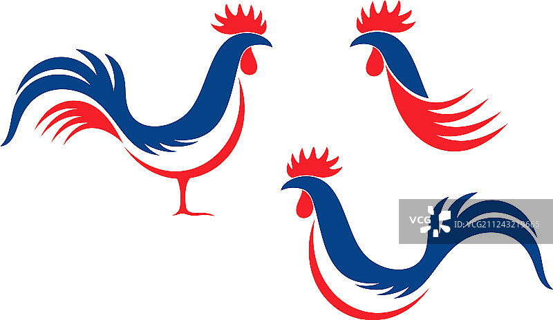 法国公鸡图片素材