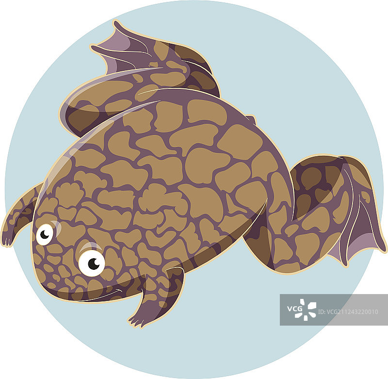 卡通微笑爪蟾图片素材