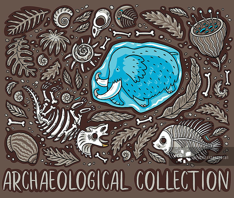 古代化石骨骼树叶与骨架图片素材